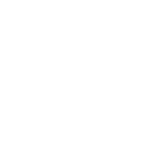 Language